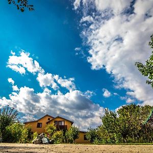 Party House Otel Bulbucata Exterior photo