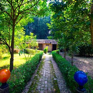 Wild Planet Eco Retreat Otel Bardiya Exterior photo