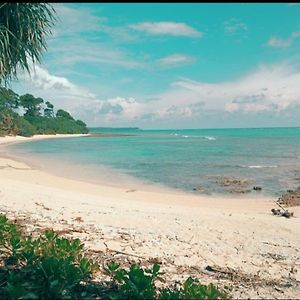 Mallick Palace Neil Island South Andaman Otel Ram Nagar Exterior photo