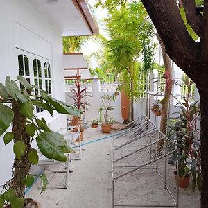 Bahaaru Villa Surf And Stay Himmafushi Exterior photo