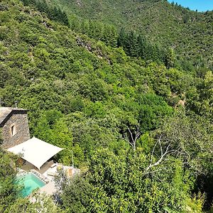 La Clede Avec Sa Piscine Privee Villa Saumane Exterior photo