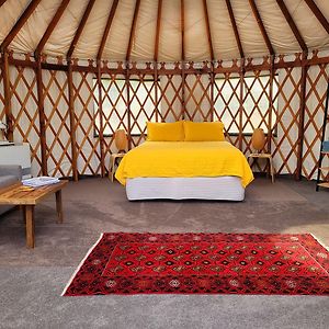 Mountain Yurt, Stunning Views, Near Wanaka Bed & Breakfast Hawea Flat Exterior photo