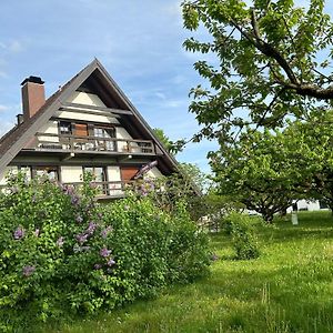 Gaestehaus Obsthof Gottenheim Otel Exterior photo