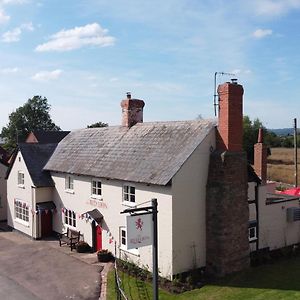 The Red Lion, Madley Otel Hereford Exterior photo