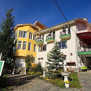 Pensiunea La Mesteceni -Zur Birke, Poiana Marului-Caras Severin Otel Exterior photo