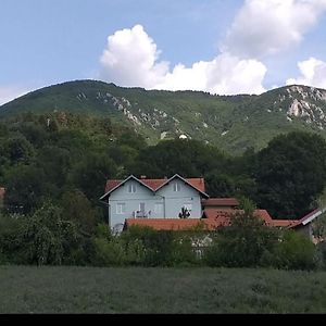 Smestaj Novakovic,Zdrelo Apart otel Exterior photo