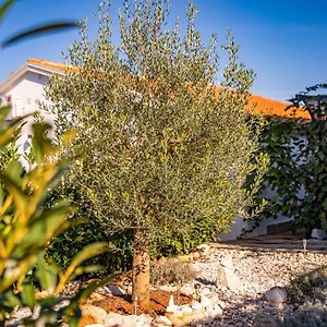 Carpe Diem In Kosinozici - Istrien Otel Poreč Exterior photo