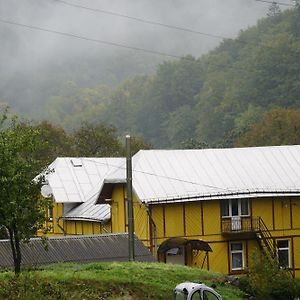 Дім З Видом На Гори. Otel Vizhenka Exterior photo