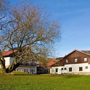 Penzion Hradek Otel Novy Hradek Exterior photo