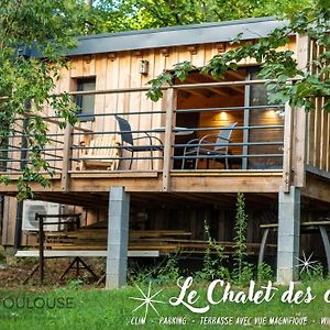 Bnb Toulouse - Le Chalet Des Coteaux - Cadre Magnifique - Wifi - Parking Daire Castelginest Exterior photo