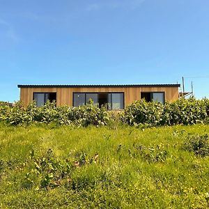 High Tide - Uk44283 Villa Gatehouse of Fleet Exterior photo