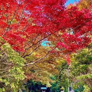 竹の隠れ家：自然豊かな遊歩道ある完全貸切一軒家、静寂と利便性が交わる場所、芦ノ湖まで車で10分- Daire Ashinoyu Exterior photo