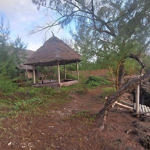 Amerani Nyumba Villa Pongwe Exterior photo