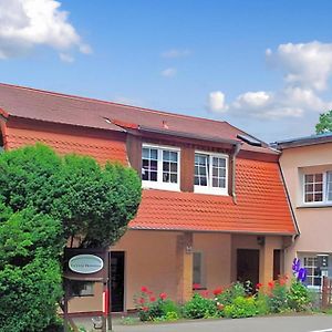 Lovely Apartment In Muehl Rosin With Kitchen Muhl Rosin Exterior photo