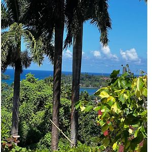 Angelaspalace Otel Port Antonio Exterior photo