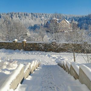 Рудий Лис Otel Skhidnytsia Exterior photo