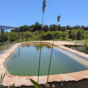 Caliu Earthship Ecolodge Colonia del Sacramento Exterior photo