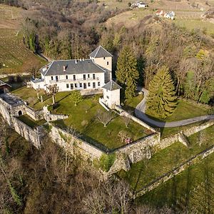 Chateau D'Apremont Bed & Breakfast Apremont  Exterior photo