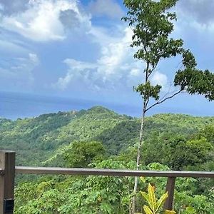 Journey to Paradise , Modern Waterfall Escape Daire Port Antonio Exterior photo