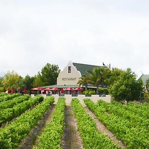 Skilpadvlei Wine Farm Otel Stellenbosch Exterior photo