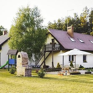 Bednarzowka Villa Nowy Tomyśl Exterior photo