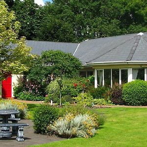 Applecroft House Bed & Breakfast Killarney Exterior photo