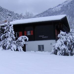 Chalet Esher Surrey Daire Ried-Brig Room photo