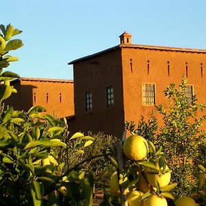 Dar Tasmayoun Konuk evi Aït Ourir Exterior photo