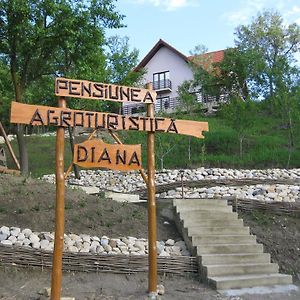 Pensiunea Agroturistica Diana Otel Magura  Exterior photo