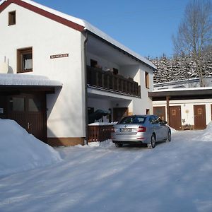 Haus Steinwaldblick Daire Bernlohe  Exterior photo