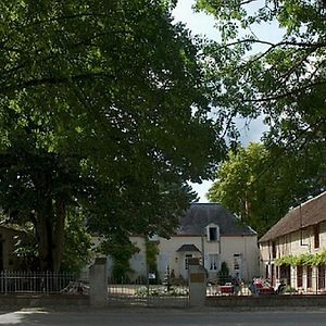 Chateau De La Fregeoliere Bed & Breakfast Theillay Exterior photo