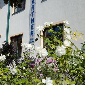 Pension Gartner Otel Wallern im Burgenland Exterior photo