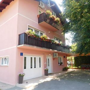 House Vukovic Otel Grabovac  Exterior photo