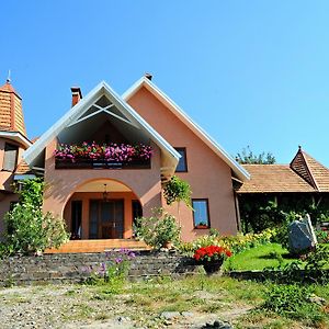 Polychko Winehouse Otel Vynohradiv Exterior photo