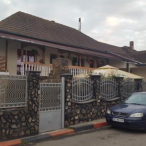 Casa Leo Daire Haţeg Exterior photo