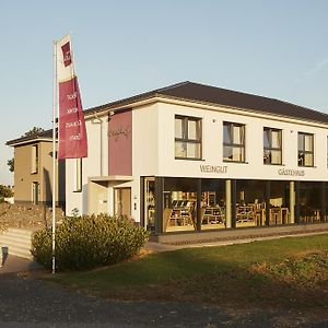 Meyerhof - Weingut, Vinothek & Gaestehaus Otel Flonheim Exterior photo