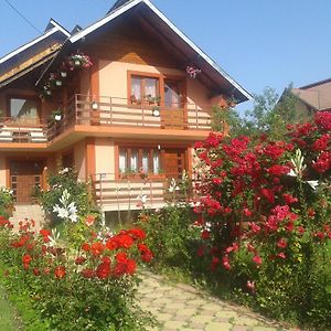 Nopti De Vara Transfagarasan Otel Capatineni-Paminteni Exterior photo