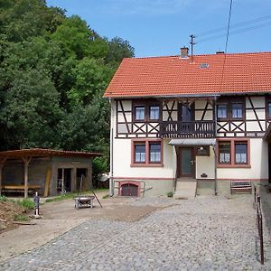 Pferdehof Und Wanderreitstation Doersam Villa Mörlenbach Exterior photo