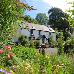 Brynarth Country Guest House Llanilar Exterior photo