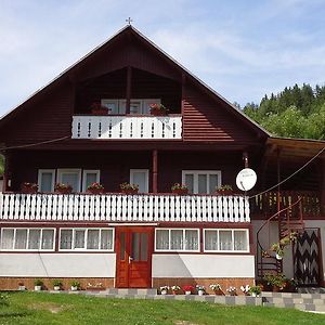 Pensiunea Daiana Otel Albac Exterior photo