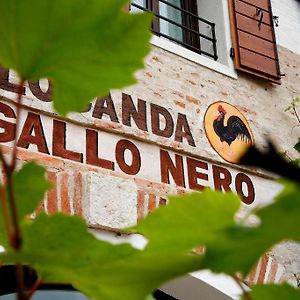 Al Gallo Nero Otel Borgoricco Exterior photo