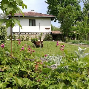 Complex Ovchaga Otel Asparukhovo  Exterior photo