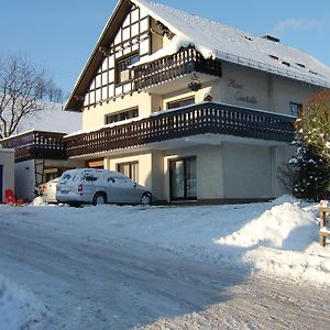 Haus Cristallo Daire Olsberg Exterior photo