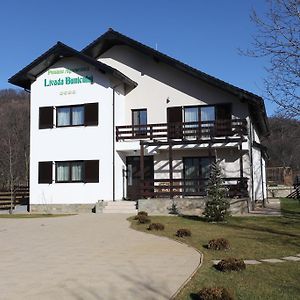 Pensiunea Livada Bunicului Otel Stanesti  Exterior photo