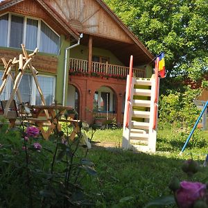 Pensiune Muzeu Traditional Poveste In Transilvania Otel Sighişoara Exterior photo