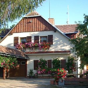 Pension Ivanka Otel Jestrabi V Krkonosich Exterior photo