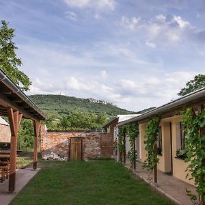 Penzion Marhulka Otel Dolni Vestonice Exterior photo