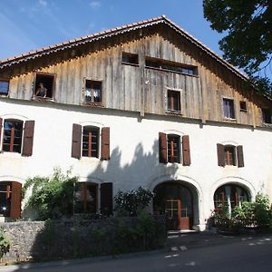 Le Polder Daire Le Paquier  Room photo