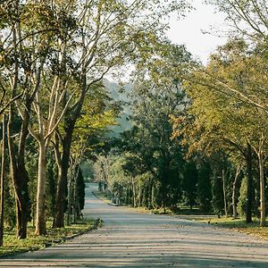 Canary Natural Resort Chiang Rai Exterior photo