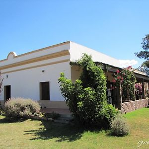 Alquimia Posada Otel Guichon Exterior photo